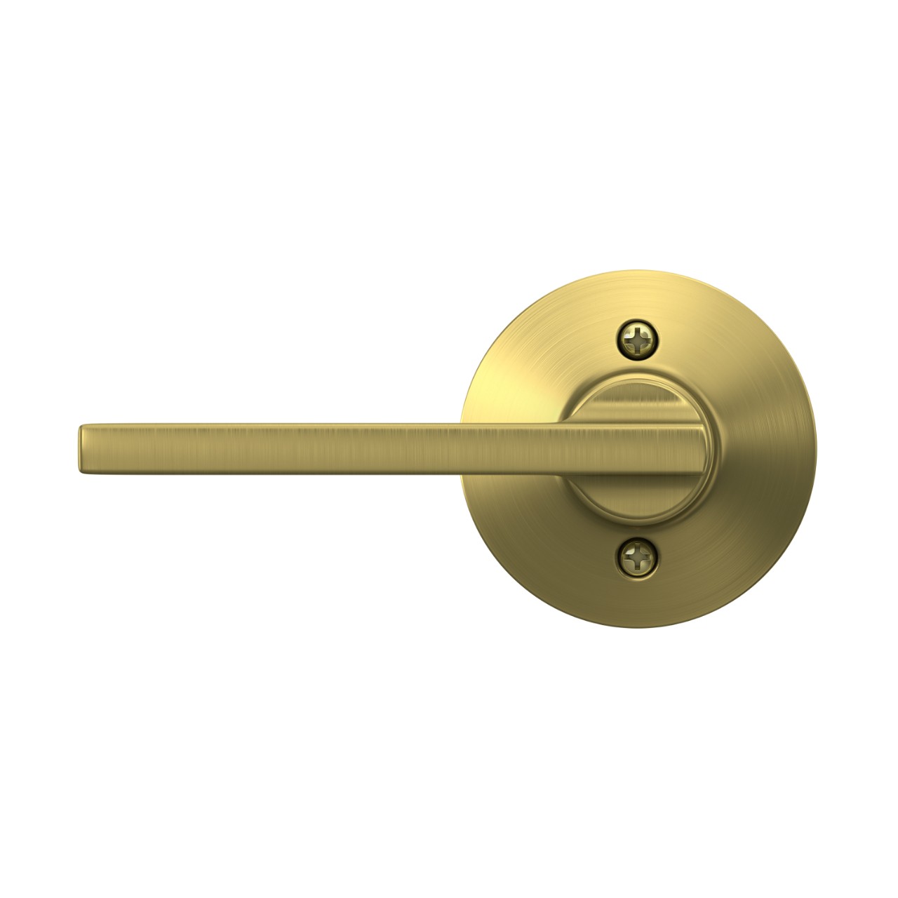 Latitude Non-Turning (Dummy) Door Lever