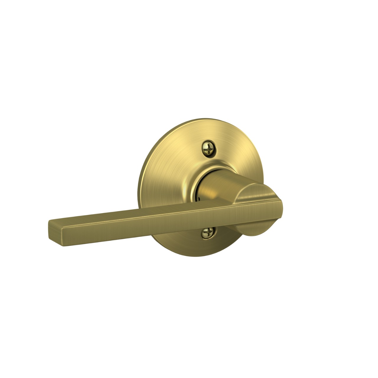 Latitude Non-Turning (Dummy) Door Lever
